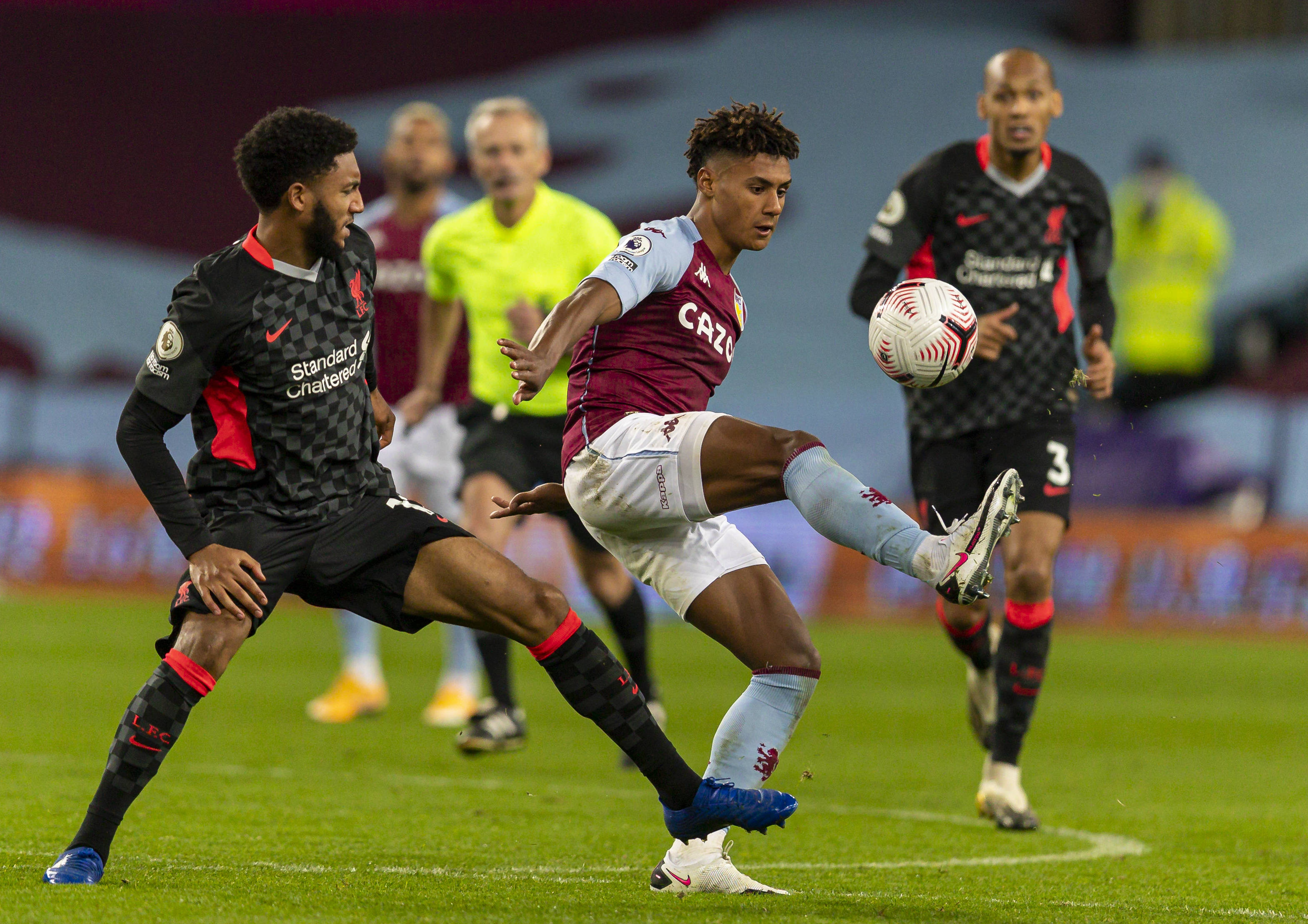 快速成长的 快速成长的